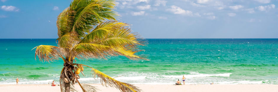 Independent hotels plunge beach resort 00 gallery image 5 kq5ygj